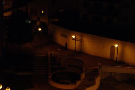 la dame bisare