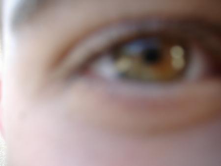oeil